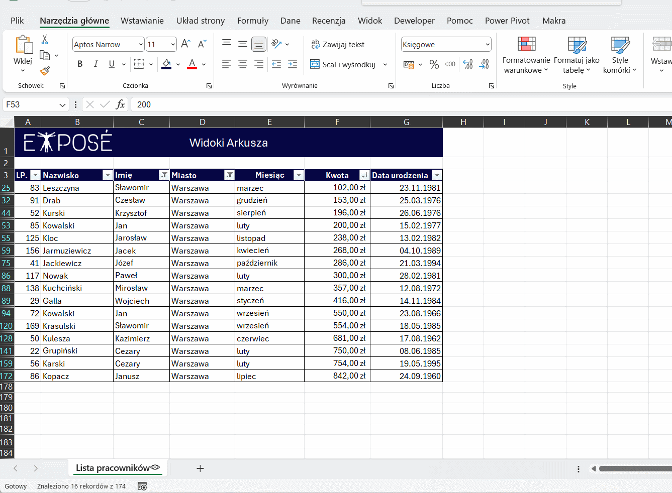 Excel - widok arkusza - przykład