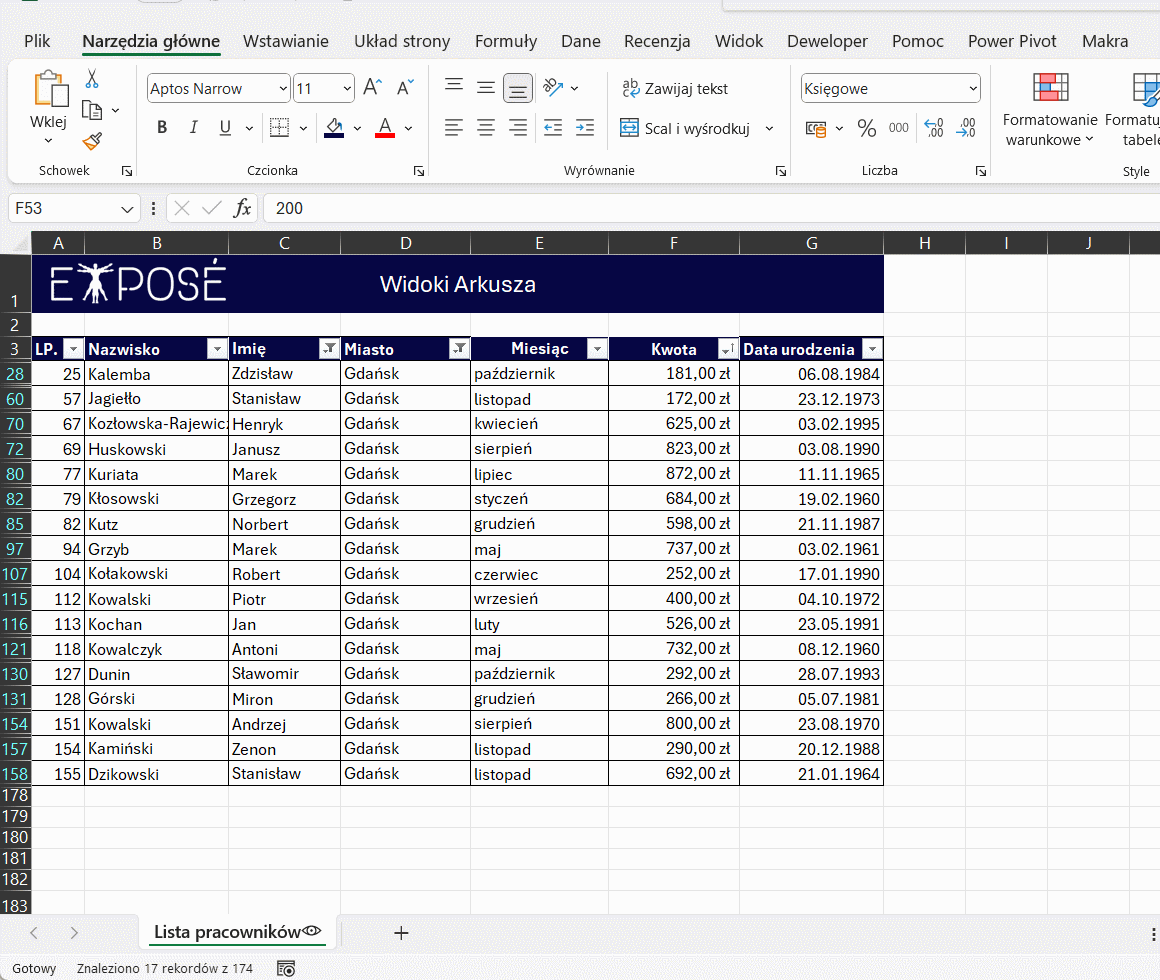 Excel - widok arkusza - przykład